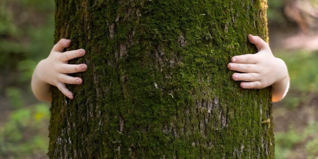 Nuevos avances del Estado Verde hacia un futuro sostenible